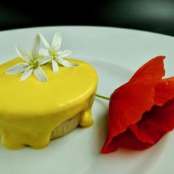 Sformatino al papavero e curcuma